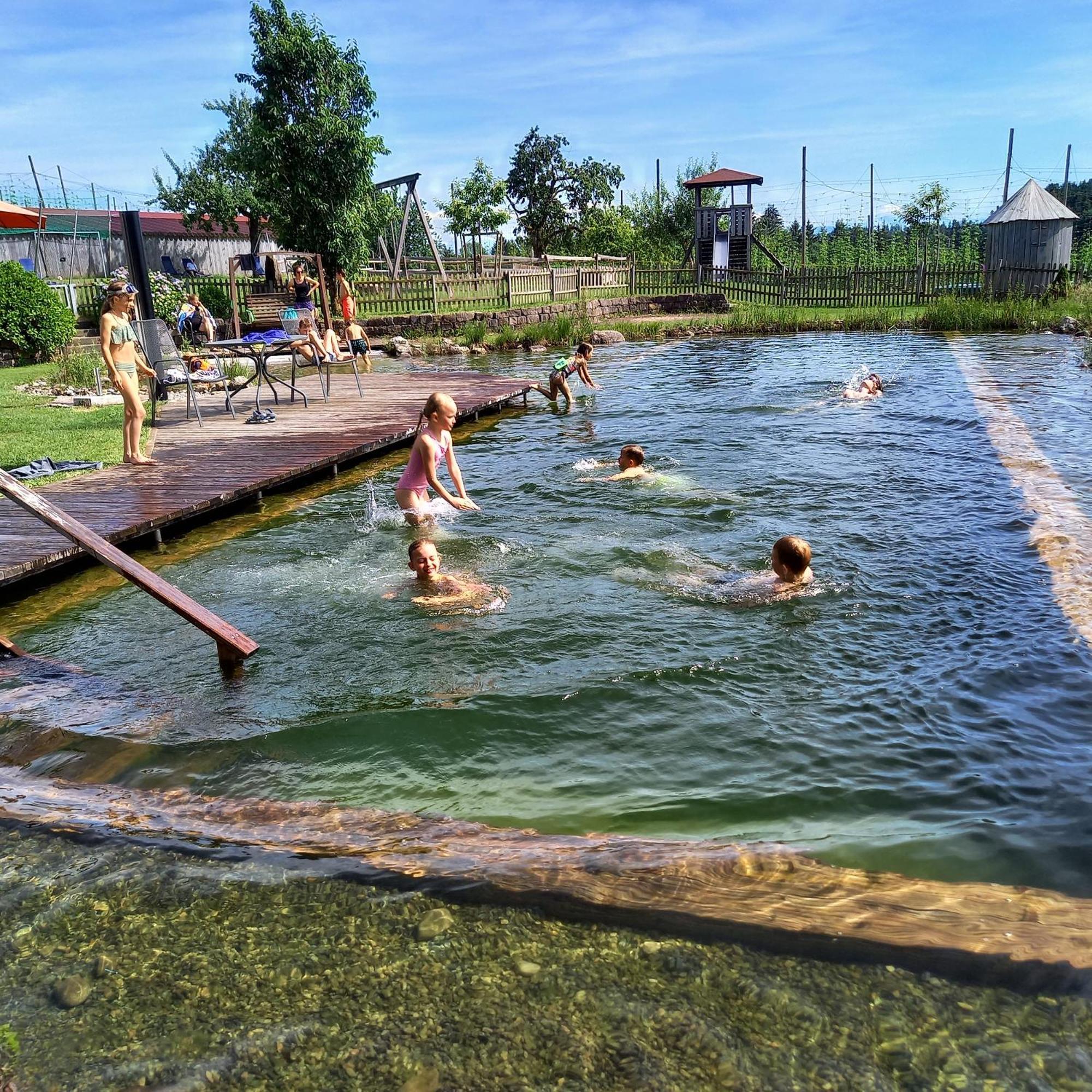 Ferienhof Metzler Bodnegg Zewnętrze zdjęcie